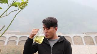 张家界莓茶“黄酮之王”，农村小伙泡茶，喝过的有多少