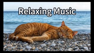 Beautiful Relaxing Music,Soothing Relaxation, Sleep Music, Meditation music, 放鬆音樂， 睡眠音樂， 冥想音樂