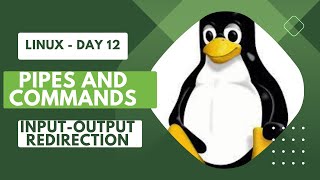 Linux Advanced - Input Output Redirection and Piping | Devops Bootcamp - Day 12