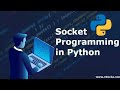 UDP socket programming in python