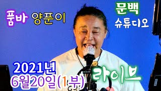 양푼이품바 2021년6월20일(일)실시간~