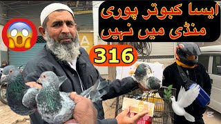 316) Lahore lari ada kabootar mandi || کبوتر منڈی || @amjadaliofficial528