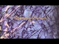 John Zorn - The Dream Machine (Dreamachines)