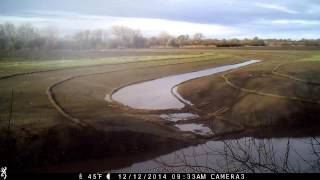 Flooding on a Cosumes River floodplain restoration site (Oneto-Denier project)