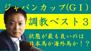 《ジャパンカップ 調教ベスト３》調教が最も良かった馬は？競馬エイト・高橋賢司トラックマンが解説