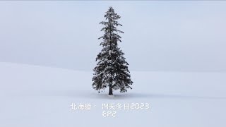 【北海道。14天冬日2023】雪祭 | 札幌 | 定山溪 | 旭川 | 美瑛 | 富良野 | Tomamu | 釧路 | 弟子屈町 | EP2