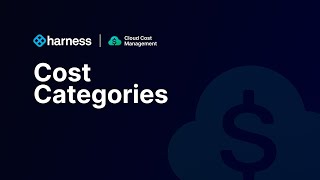 Use Cost Categories in Cloud Cost Management