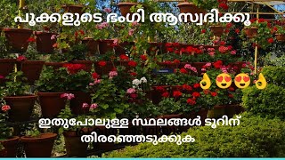 ഇവിടേക്ക് പോന്നോളൂ     🌿  എന്താ ഭംഗി ഈ പൂക്കൾക്ക് 💕💕