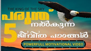 Powerful Motivational video Malayalam | 5 Life Lessons From The Eagle | Eagle Mentality | Attitude