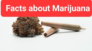 Facts about Marijuana | Is marijuana bad for your brain?