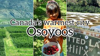 Day tour in Osoyoos/ Osoyoos/ attraction in Osoyoos/ okanagan valley / valley/ park/ beach/ cherry