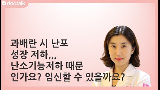 과배란 시 난포 성장 저하,,, 난소기능저하 때문인가요? 임신할 수 있을까요? ㅣ난소기능저하, 최지은 한의사