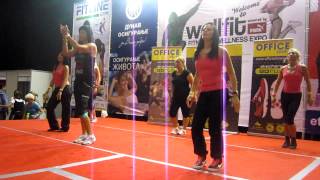 Wellfit 2012 - zumba party 2