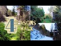 Relaxing 4 Seasons-Walk - in the Austrian countryside