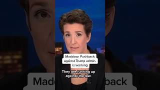 Maddow: Pushback against Trump admin. is working