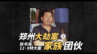 第3集 | 郑州12·9银行大劫案-张书海