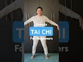 tai chi for seniors beginners seniorstaichi beginnerstaichi simpletaichi easytaichi