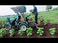 mini sanedo tractor best mini agriculture tractor smart working average in mini sanedo trector