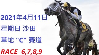 #香港賽馬貼士 #HONGKONGHORSERACINGTIPS 香港賽馬貼士 HONG KONG HORSE RACING TIPS RACE 6 7 8 9