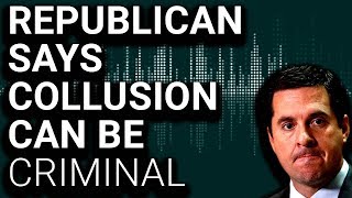 Secret Recording: Republican Investigator Admits Collusion Can Be Criminal
