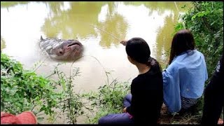 Beautiful Girl Fishing - AMAZING Net Fishing - Cambodia Traditional Fishing ( Part 130)
