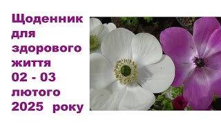 Щоденник важливих справ на городі, в садочку, на квітнику, для здоров'я 02-03 лютого 2025 року