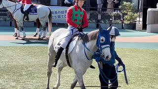 【ゴールドシップ産駒】他の2歳馬がいななく中、タケゾーを乗せ静々と回るドゥワー