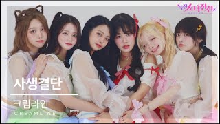 특전소녀전선 : 12월 TIF 공연 비하인드 🎥 | EP. 크림라인(creamline) ]  \