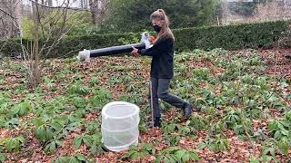BugNet Suction Sampling Method