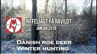 Winter roe deer cull - Råvildt riffeljagt januar 2018