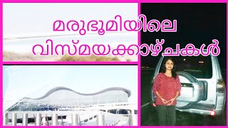 വിസ്മയിപ്പിക്കും ഈ കാണാക്കാഴ്ചകൾ || Airport Travel Vlog ||