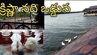 చల్లని ప్రకృతిలో, పలుకరించే చిరుజల్లులు మధ్యలో కృష్ణానది ఒడ్డున .......#manthenaashramam#cool