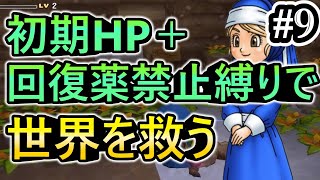 【DQB】初期HP＋回復薬禁止縛りで世界を救うpart9【Steam版】