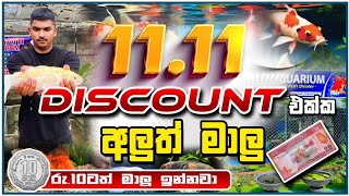 11.11 මාලු Discount || Chamath Aquarium