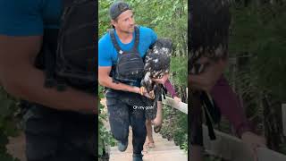 This Rescued Eagle Was So Grateful | The Dodo