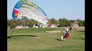 Paragliding School Year in Review 2021. Penguin Paragliding