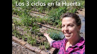 Los 3 ciclos en la Huerta