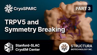 TRPV5 and Symmetry Breaking (Part 3 of 6)