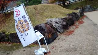 岐阜公園信長居館跡①