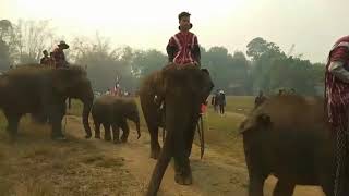 ตาก ชาวปกาเกอะญออำเภอพบพระจัดงานอนุรักษ์ช้างไทย