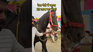 बाप रे 25 लाख का घोड़ा | Deva mela 2023 #horse