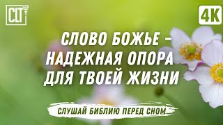 Восстановление нервной системы | Библия перед сном | Relaxing