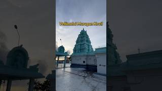 Vellimalai Murugan Kovil 🦚 | Aswin Vlogs