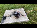 lipo fire while charging