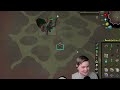 araxxor budget guide release day osrs