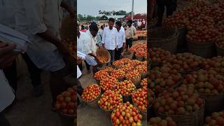 Pattikonda   market tomato 🍅 today price jatha 💯 100 rupees 😭