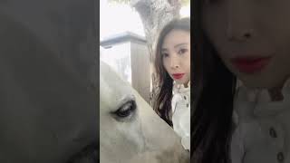 美魔女　乗馬　白馬