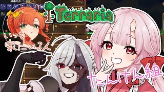 テラリア#４｜初心者🔰紅魅さんを2人でサポート！コラボ【久遠シイ視点/Vtuber】