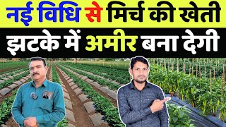 मिर्च की खेती कैसे करें | mirch ki kheti kaise kare | chilli cultivation techniques