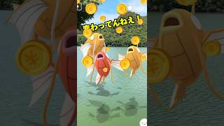 コイに餌やりできるんだって！#ポケモンgo #ポケモン #色違い #shorts #創作